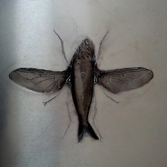 Poisson mouche (2010)
