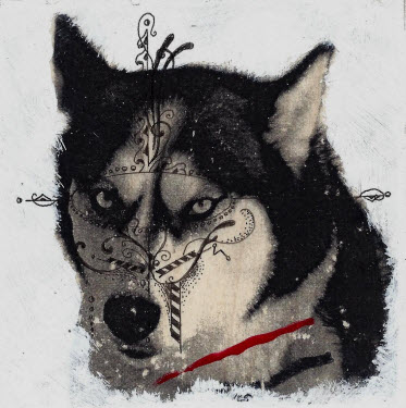 Tequila-Crystal Crow (2010-14)