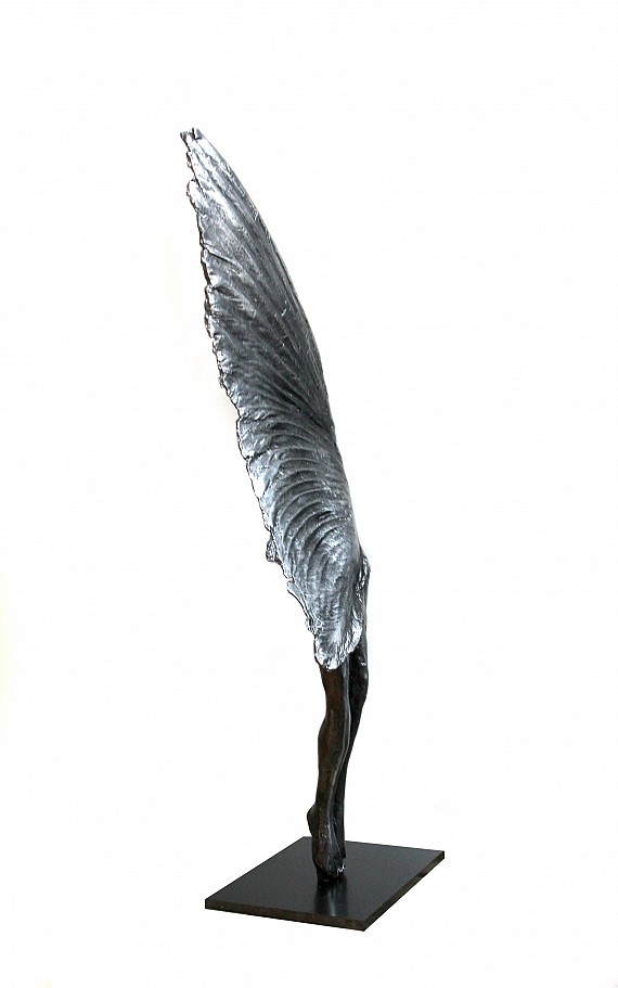 Les ailes du désir (2017)