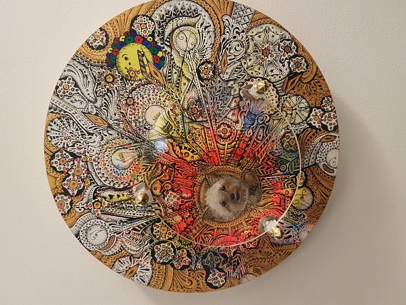 Magnifying 4lbs of love (2021)