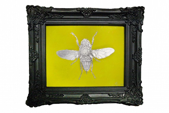 Mouche Roccoco (2010)